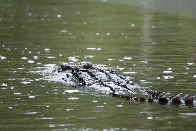 Private Luxury Daintree Dream Tour All Inclusive - FAQ