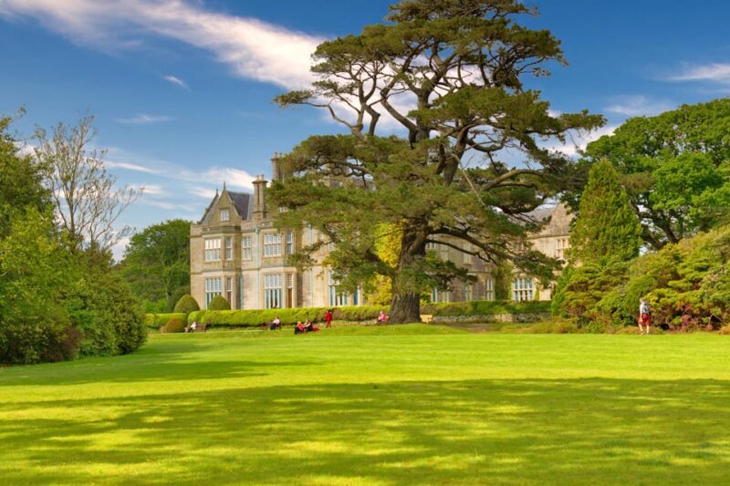 Private Luxury Ring of Kerry and Skelling Ring Day Tour - Experience and Customization Options