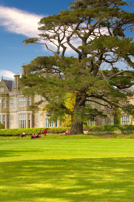 Private Luxury Ring of Kerry and Skelling Ring Day Tour - Recommended What to Bring
