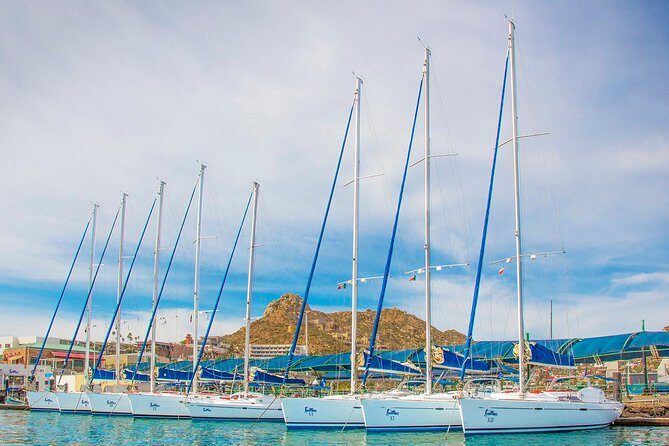 Private Luxury Sailing Cruise in Los Cabos with Lunch and Open Bar - The Sum Up: Who Will Love This Tour?