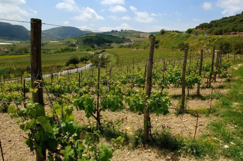 Private Luxury Special Occasion Celebration Wine Experience - Introduction: A Wine Lover’s Dream in Crete