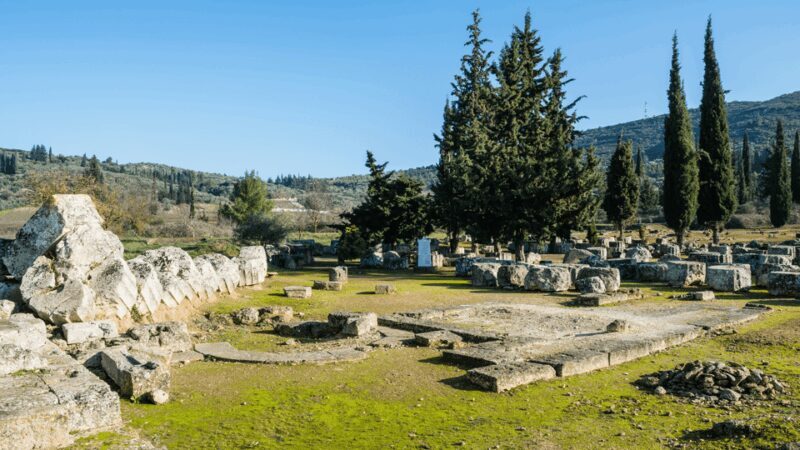 Private Luxury Tour: Nemea's Ancient Sites & Wine Tasting - Tasting Greece’s Best Wines: The Vineyard Experience