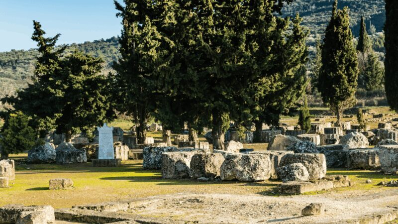 Private Luxury Tour: Nemea's Ancient Sites & Wine Tasting - Highlighted Aspects from Reviews
