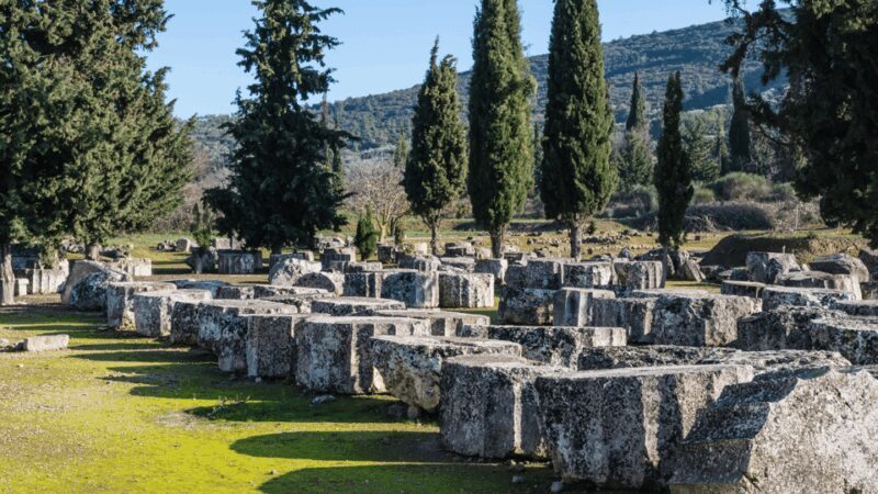 Private Luxury Tour: Nemea's Ancient Sites & Wine Tasting - Who Should Consider This Tour?