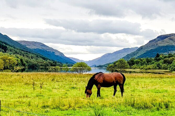 Private Luxury Tour of The Highlands and Loch Ness From Glasgow - The Sum Up