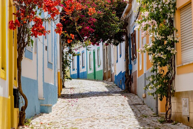Private Luxury Transfer From Lisbon to Algarve (Or Vice-Versa) - Onboard Amenities