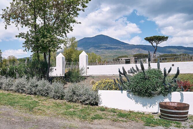 Private Luxury Transfer from Rome to Sorrento or Amalfi Coast - FAQ