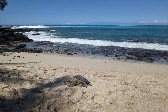 Private Luxury Van With Driver to Big Island Destinations of Your Choice - Pickup and Meeting Locations