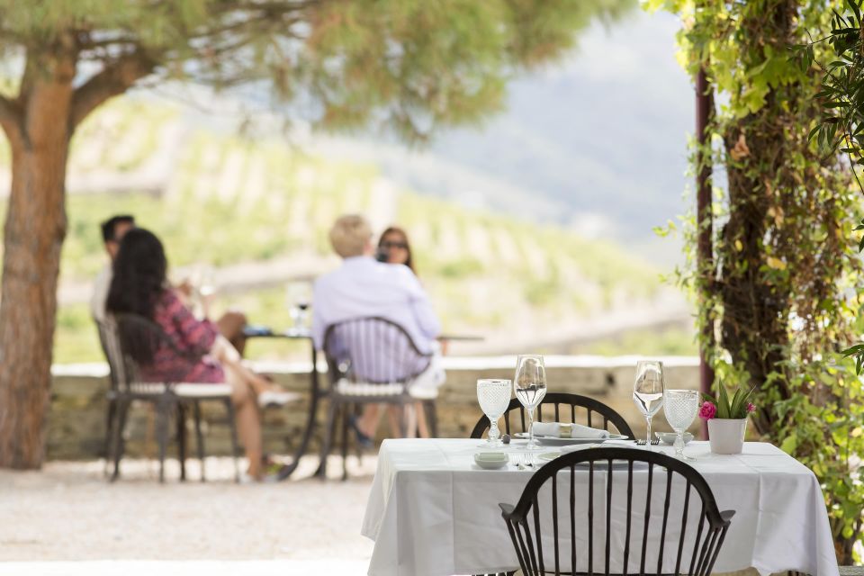 Private Luxury Wine & Food Tour in Douro - Safety and Accessibility