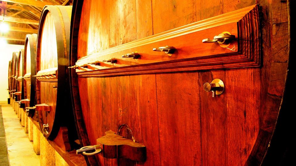 Private Luxury Wine & Food Tour in Douro - Booking Information