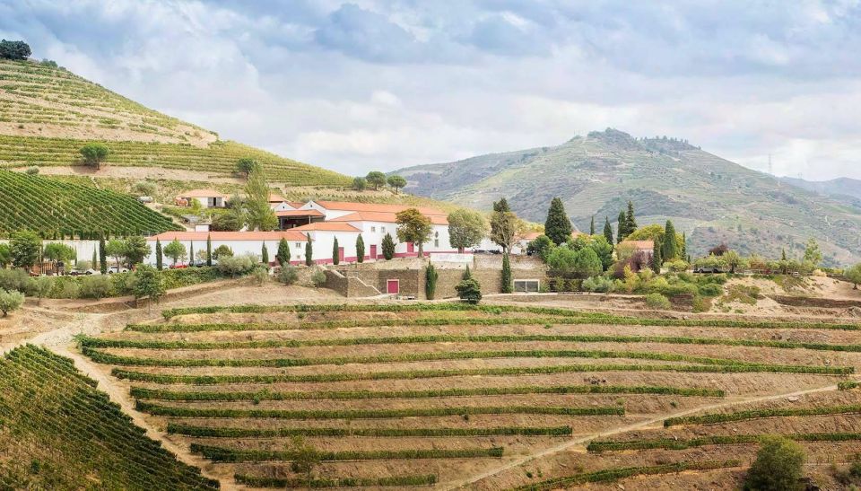Private Luxury Wine & Food Tour in Douro - Frequently Asked Questions