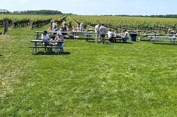 Private Luxury Wine Tours of Long Island Pindar Winery - The Sum Up
