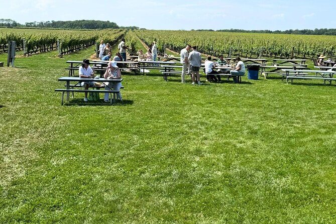 Private Luxury Wine Tours of Long Island Pindar Winery - FAQs