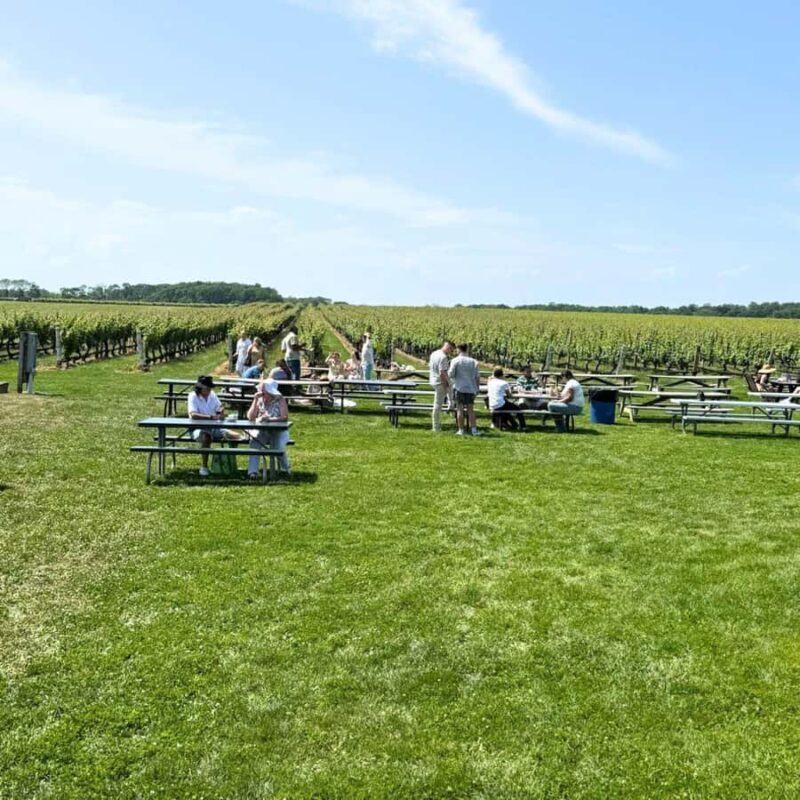 Private Luxury Winery Trip of Long Island, New York, USA - Lunch and Additional Experiences