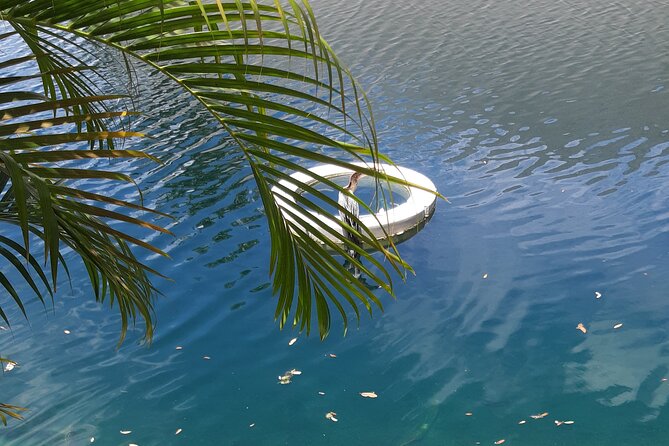 Private Magic City Tour With Transfers - Inclusions and Amenities