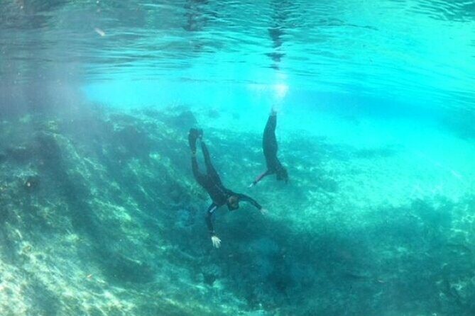 Private Manatee Snorkel Tour with FREE Photo Package - Who Is This Tour Best For?