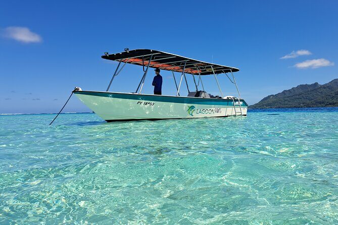 Private Marine Excursion and snorkeling in the lagoon of Moorea - Key Points