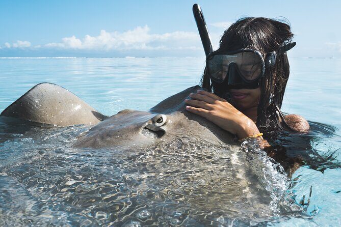 Private Marine Wildlife Adventure with Underwater Photography - What to Expect from This Marine Adventure