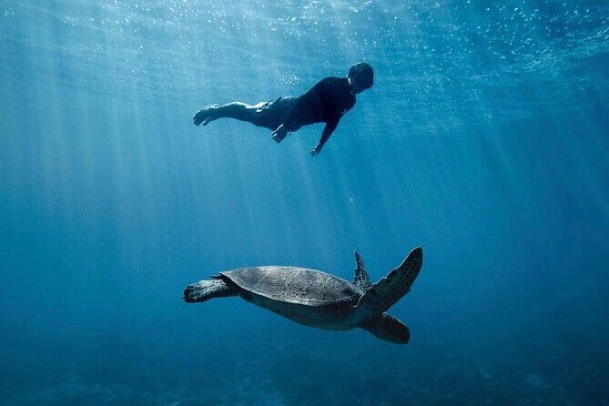 Private Marine Wildlife Adventure with Underwater Photography - Pricing and Value