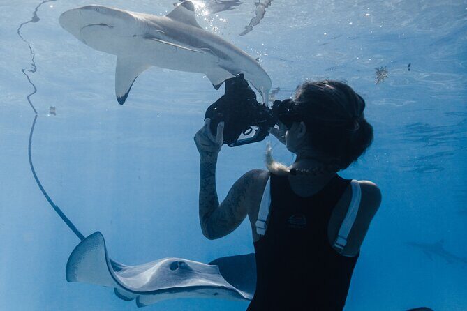 Private Marine Wildlife Adventure with Underwater Photography - The Sum Up