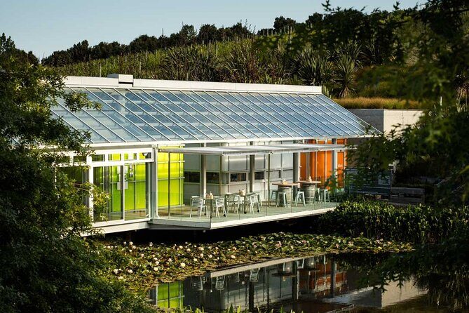 Private Matakana Personalised Tour - Introduction