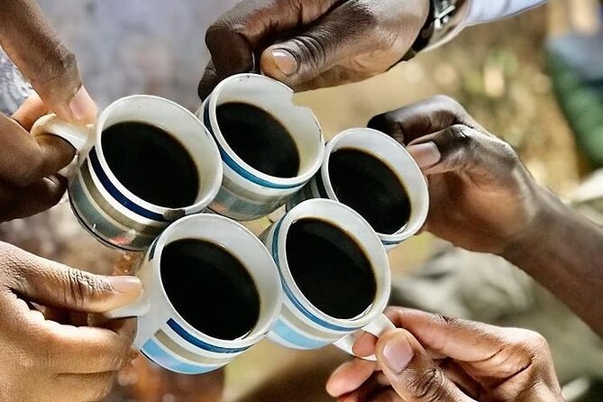 Private Materuni Waterfall & Coffee Tour. - Tour Experience Highlights