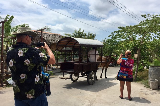 Private Mekong Delta Tour - My Tho - Ben Tre From Cruise Port - Pricing and Booking Information
