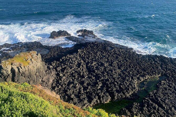 Private Melbourne Tour: Phillip Island and Chocolate Factory - An Introduction to the Tour Experience