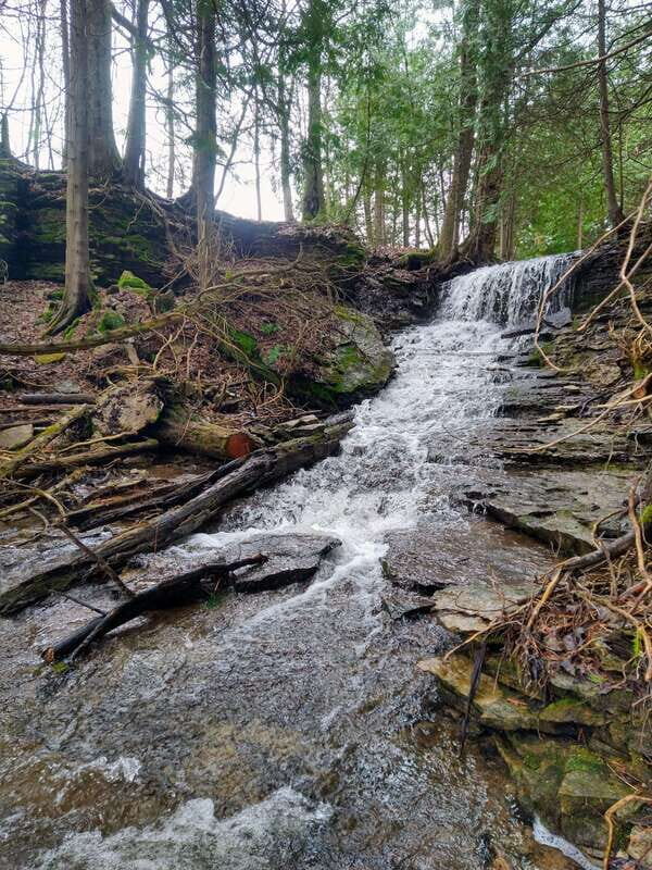 Private Metcalfe/Duncan Caves Hike-Collingwood/Blue Mountain - FAQs
