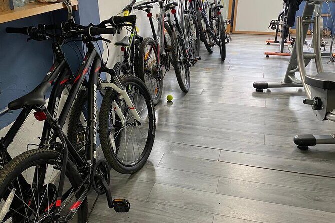 Private Mexico City Biking Tour - Authentic Views and Local Vibe