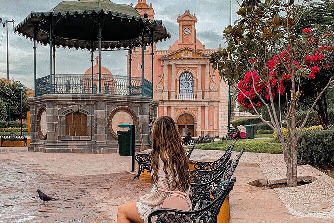 Private Mexico City Wine Tour: Hidden Valley Vineyards - Who Should Consider This Tour?