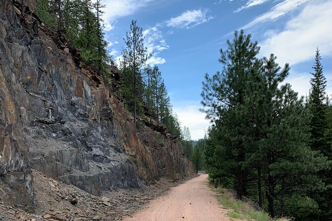 Private Mickelson Trail Bike Tour - Participant Requirements and Recommendations