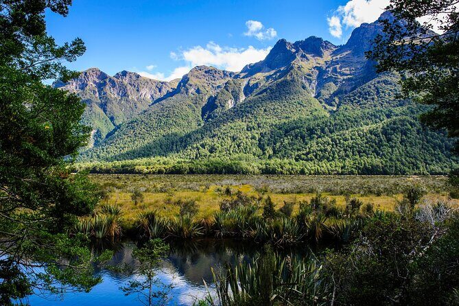 Private Milford Sound Scenic Tour Fjords Waterfalls and Views - The View from the Driver’s Seat: Experience and Flexibility  