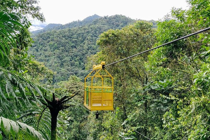 Private Mindo Cloud Forest Tour From Quito - Guided Hike Experience
