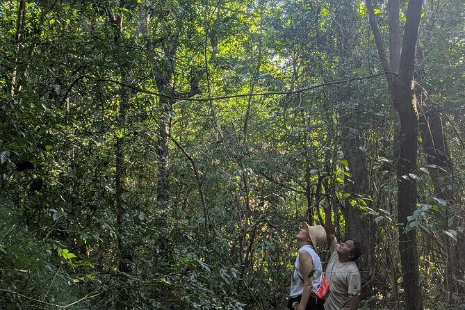 Private Monkey Sanctuary Trails with Zipline Canoe and Cenote - Key Points