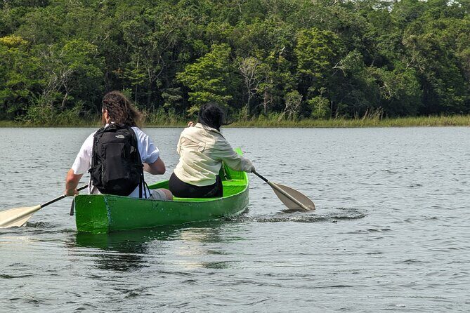 Private Monkey Sanctuary Trails with Zipline Canoe and Cenote - Who Will Love This Tour?
