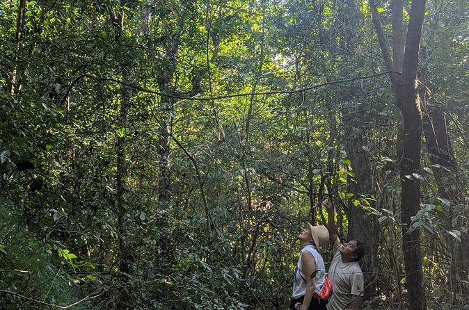 Private Monkey Sanctuary Trails with Zipline Canoe and Cenote - FAQ