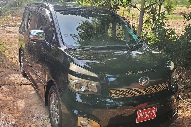 Private Montego Bay Airport Transfer to Montego Bay Hotels - Why the Service Excels: Key Features and Review Highlights