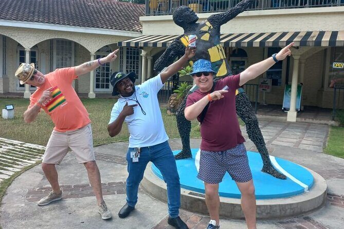 Private Montego Bay Airport Transfer to Riu Palace Aquarelle - Who Is This Transfer Best For?  