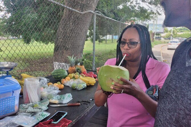 Private Montego Bay City Highlights Tour - Who Will Benefit Most?