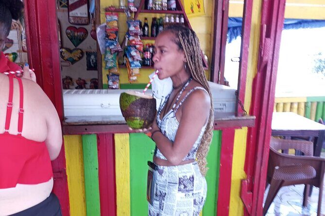 Private Montego Bay Highlights Day Tour - Who Should Consider This Tour?