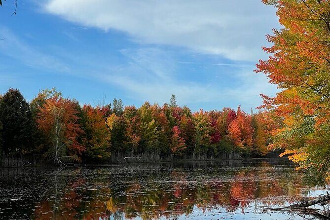 Private Montreal Car Tour with History and Hidden Gems - What Makes This Tour Stand Out