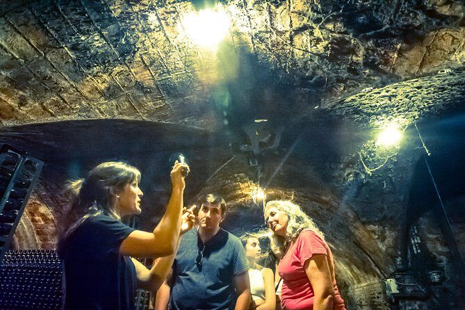 Private Montserrat with Wine Tasting Full Day Trip from Barcelona - Final thoughts: Who’s this tour best for?