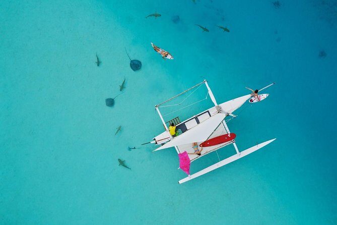 Private Moorea Discovery Half-day Sailing - Setting Sail in Moorea: An Overview