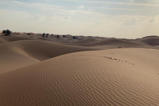 Private Morning Desert Safari Adventures With ATV Quad Bike and Camel Rides - Convenient Transportation and Accessibility