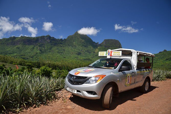 Private Morning Moorea 4WD Tour with Champagne - An In-Depth Look at the Moorea 4WD Tour