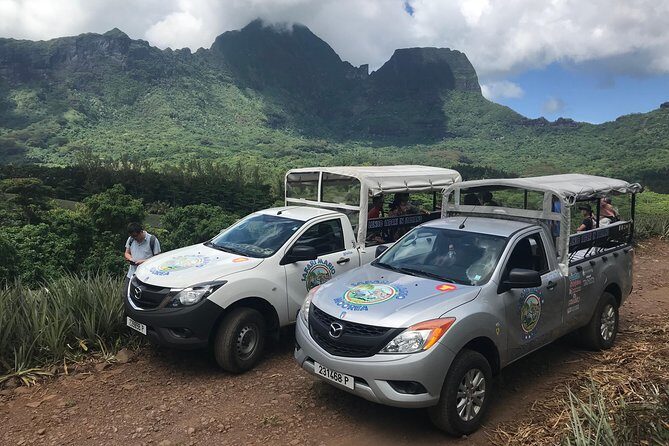 Private Morning Moorea 4WD Tour with Champagne - FAQs
