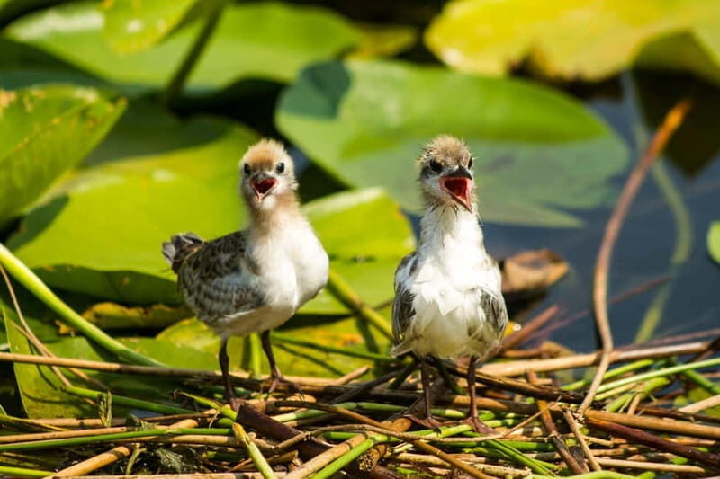 Private morning tour with refreshments and hidden canals! - Value and Practical Considerations