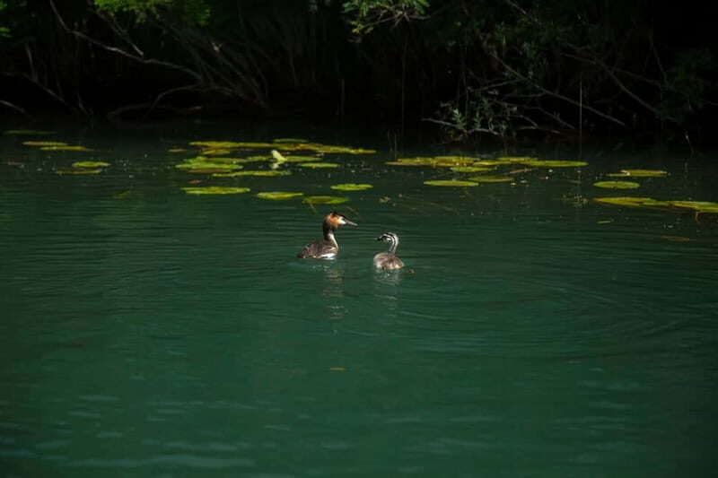 Private morning tour with refreshments and hidden canals! - Why You Should Consider This Tour