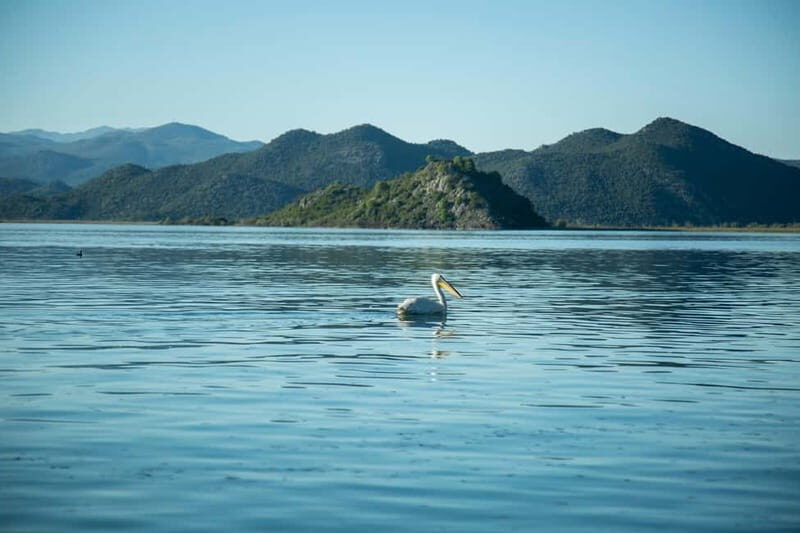 Private morning tour with refreshments and hidden canals! - FAQ